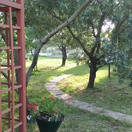 Gracijela Fažana