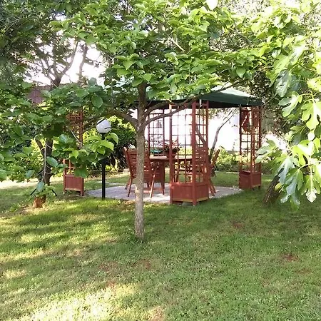 Gracijela